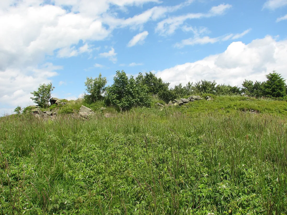 10 Best Things to Do in Kamenná čtvrť Stone Colony