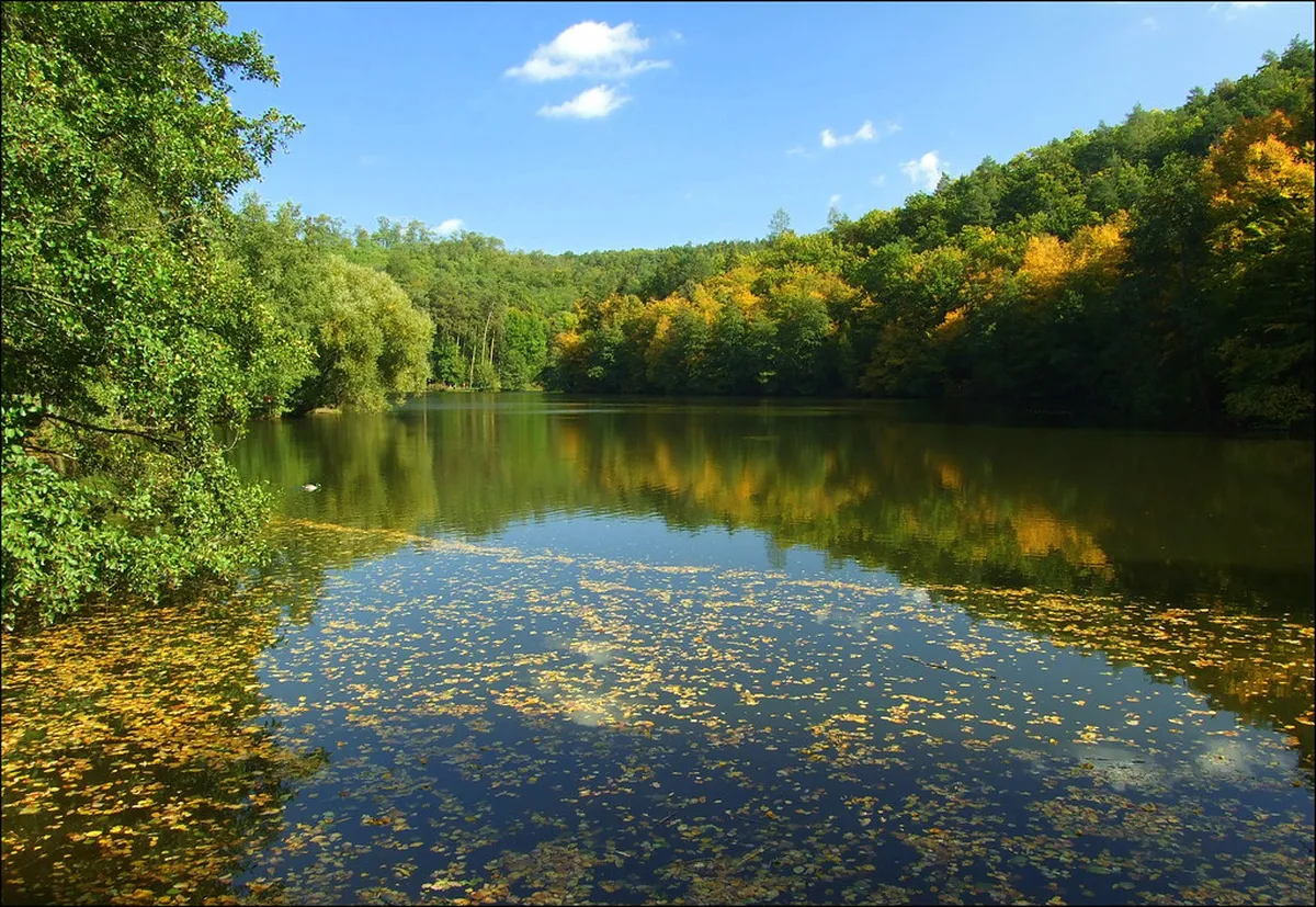 Mariánské údolí Valley Nature: The Perfect 1-Day Itinerary