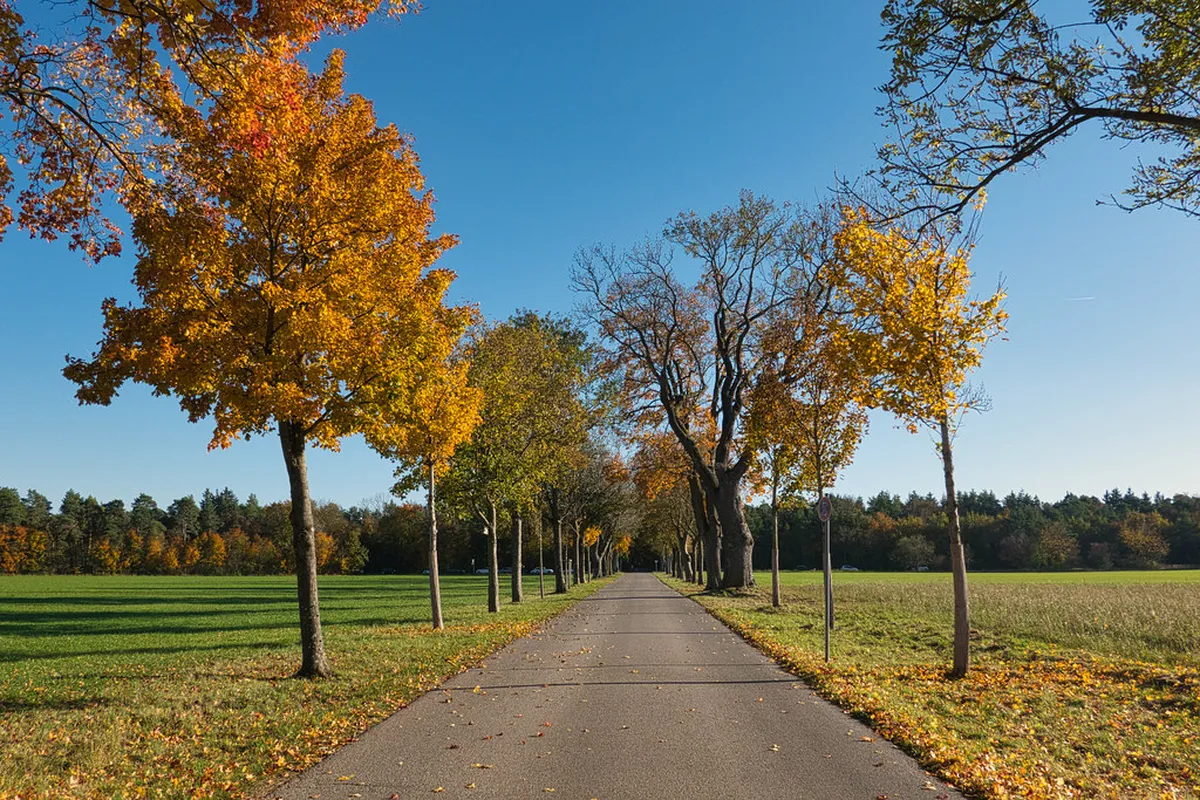 Visit the Castle Tower and Castle Museum in Český Krumlov