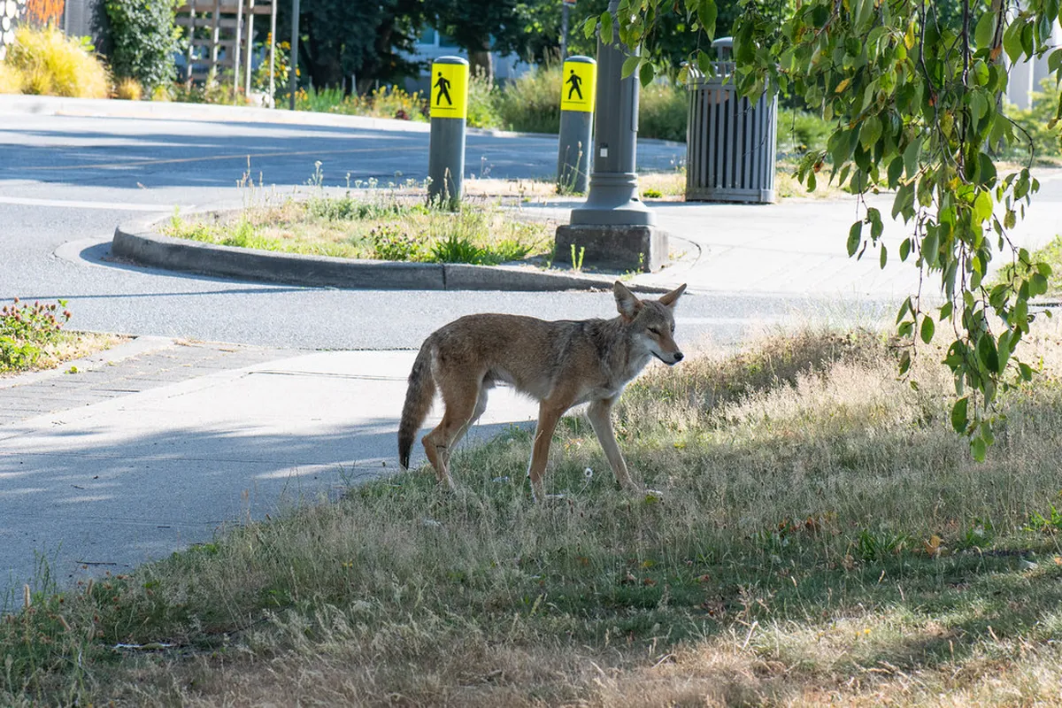 Latrán Neighborhood Walking Route: A 2-Day Guide