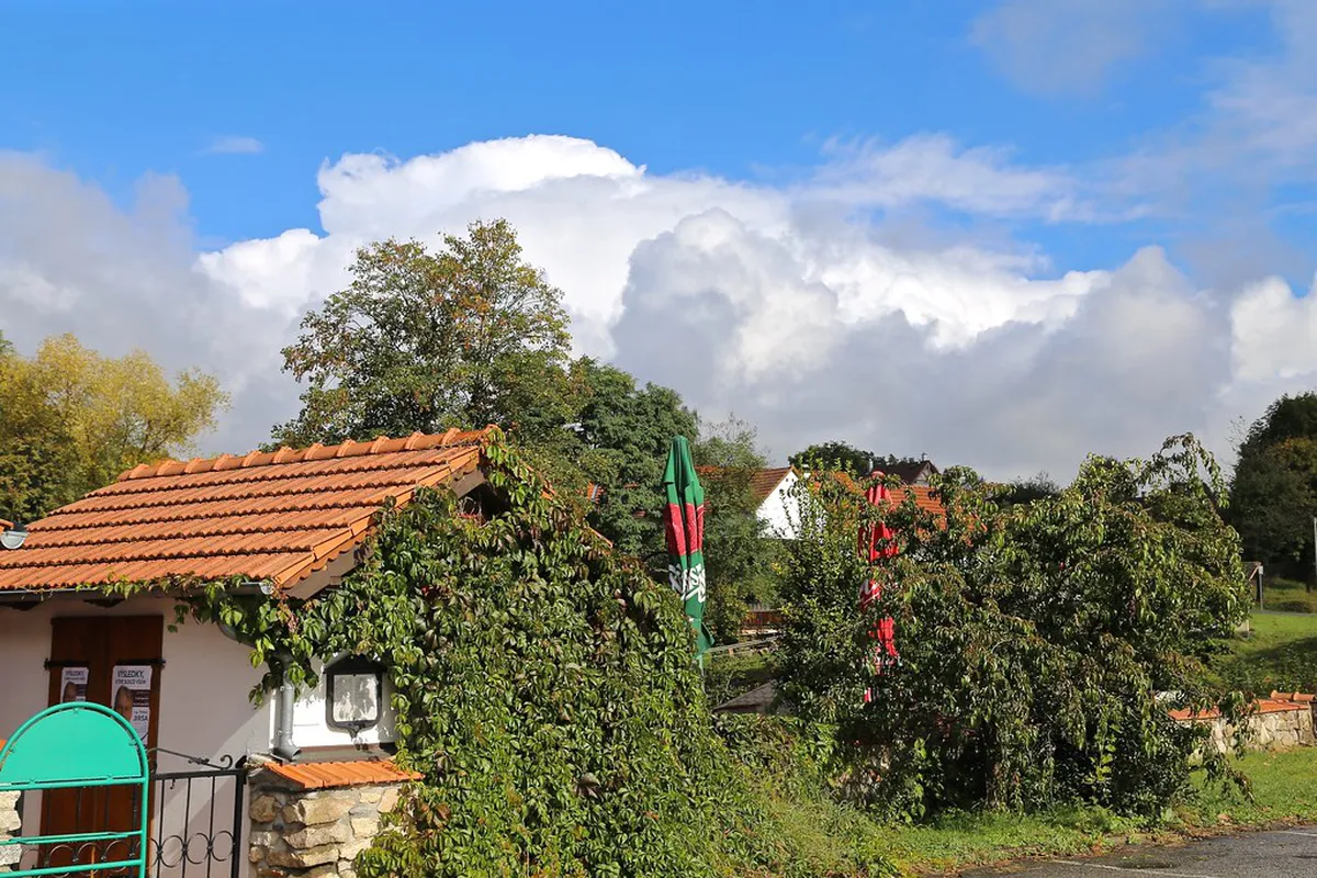 10 Best Non-Tourist Restaurants Český Krumlov (2026)