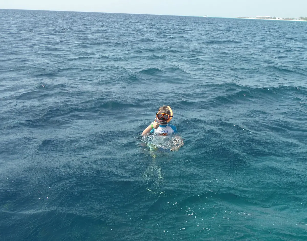 9 Best Swimming Spots in Vltava River: Český Krumlov Guide