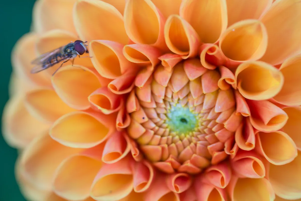 Review: Visiting Chyše Castle and Brewery in 2026