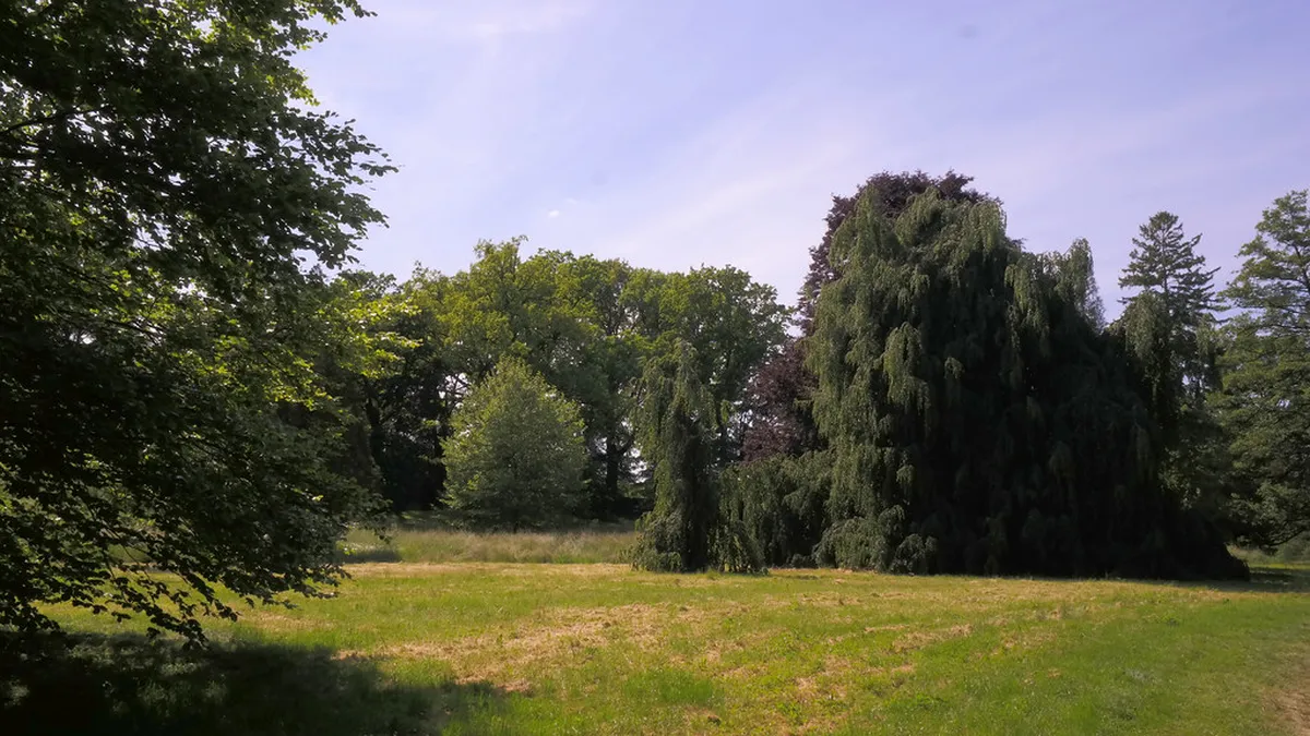 11 Best Čechy pod Kosířem Museums and Sights