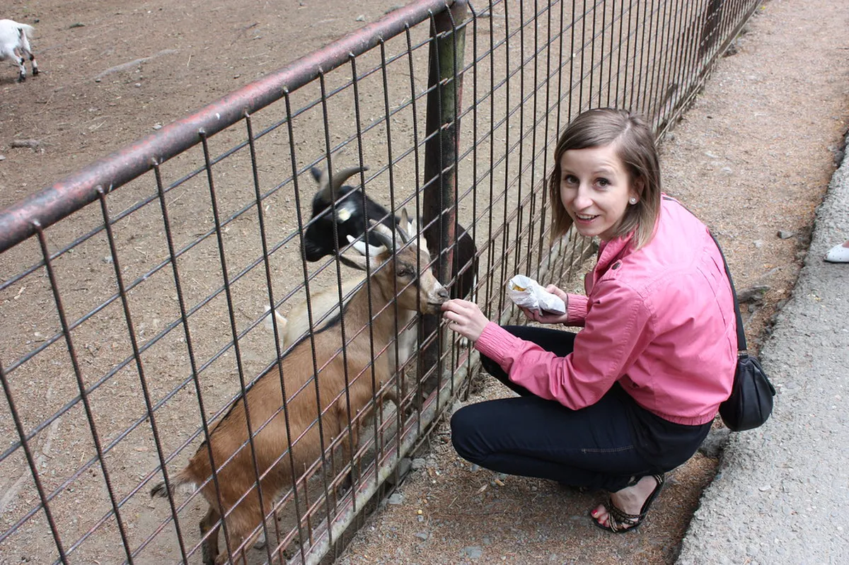 Zoo Olomouc Family Visit Tips: 2026 Review