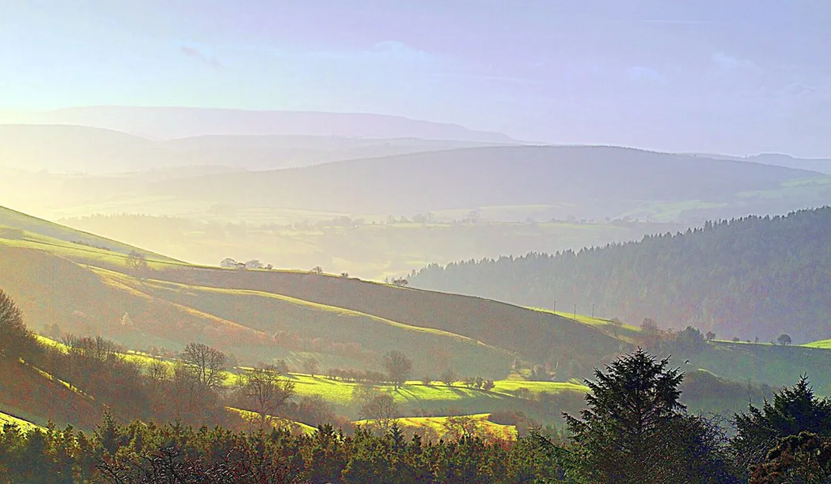 10 Hidden Microbreweries Plzeň Locals Love in 2026