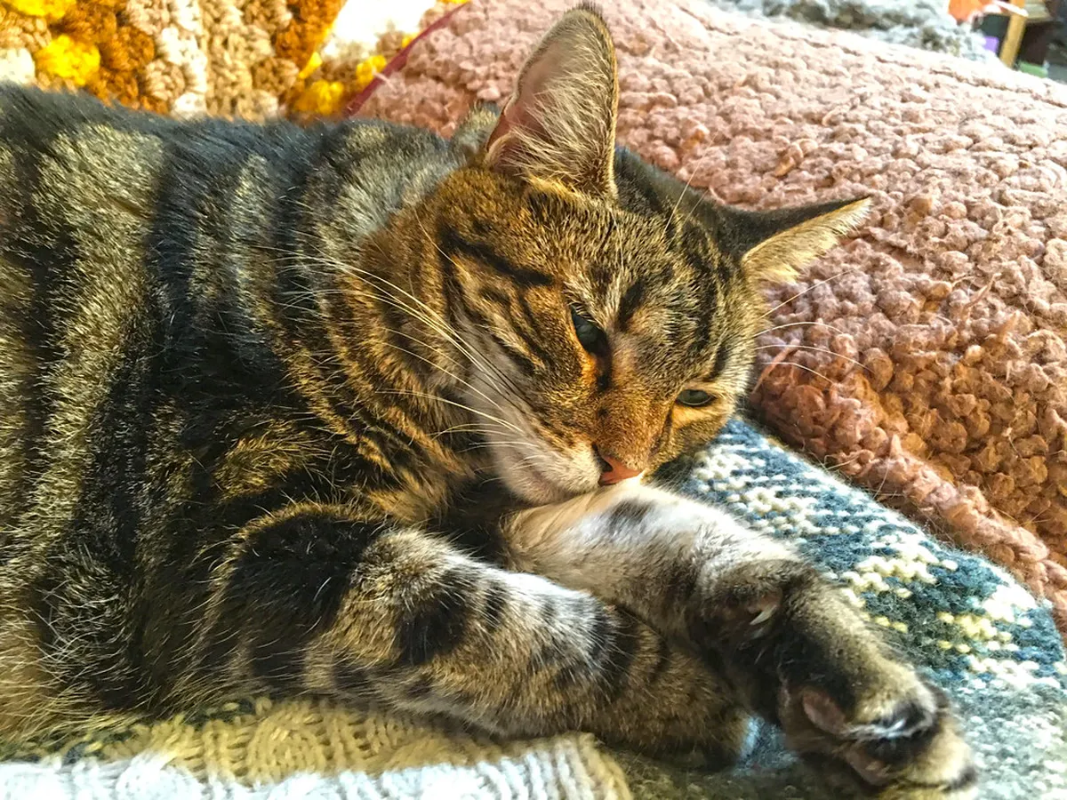 How Long is the Plzeň Underground Tour? Top 10 Sights