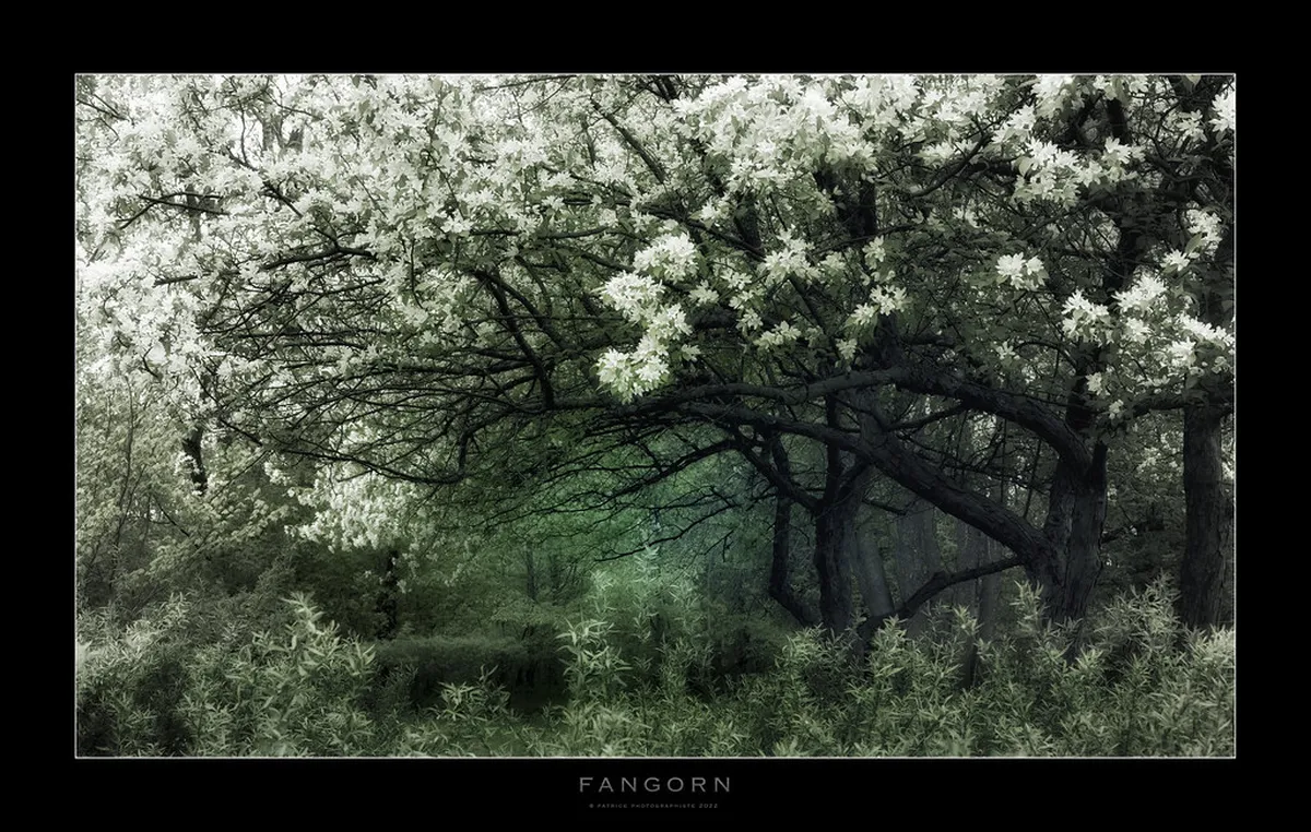 Uncovering Best Local Secrets in Plzeň: 2026 Guide