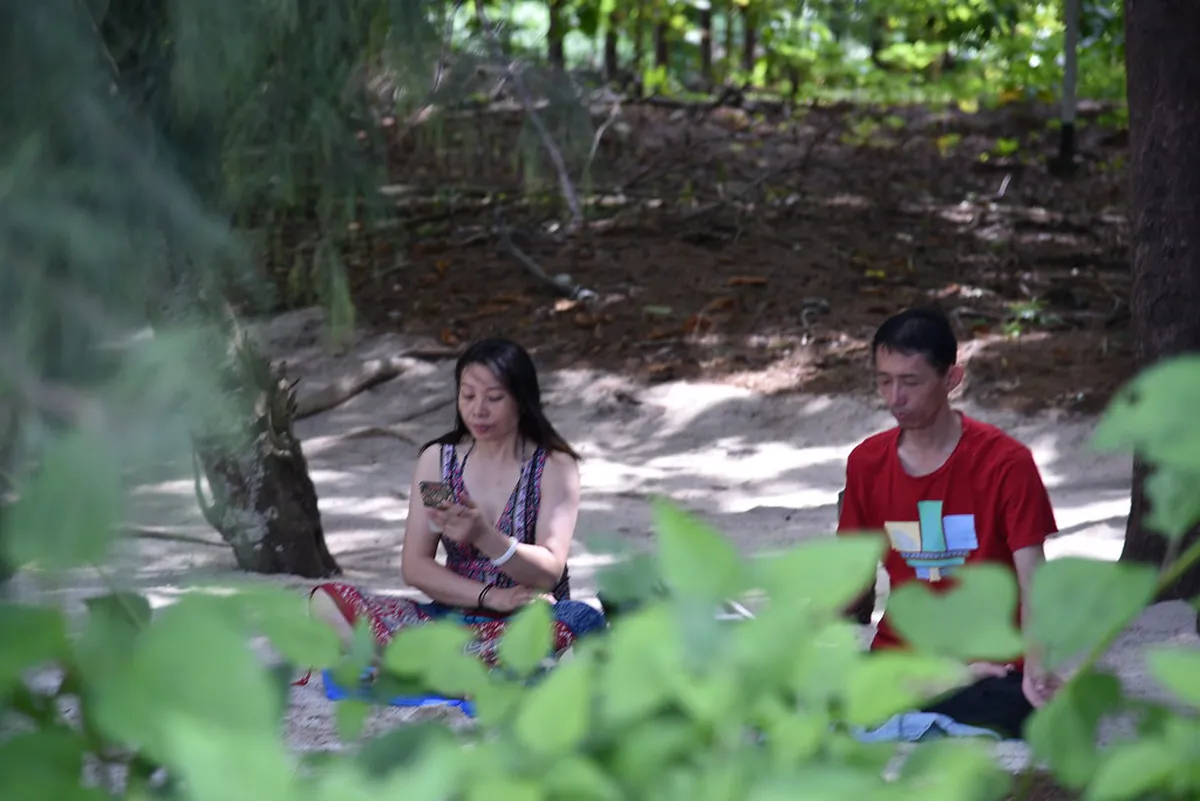 12 Secluded Viewpoints and Parks in Plzeň (2026 Guide)