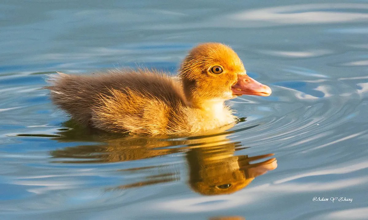 What is DEPO2015 Creative Zone Plzeň? Top 10 Picks