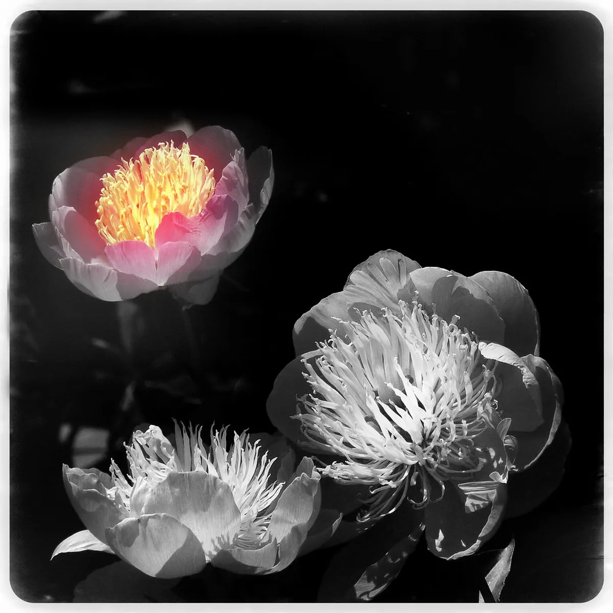 What is Inside Techmania Science Center Plzeň: 10 Top Exhibits