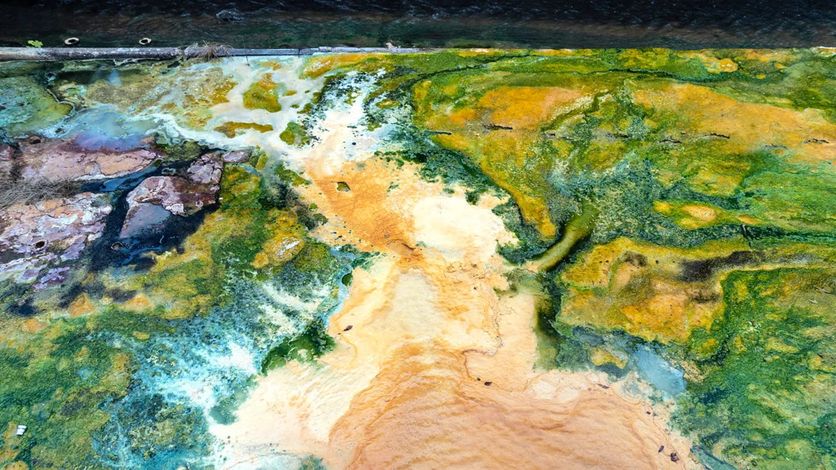 Karlovy Vary Spa Day: The Perfect Day Trip from Prague